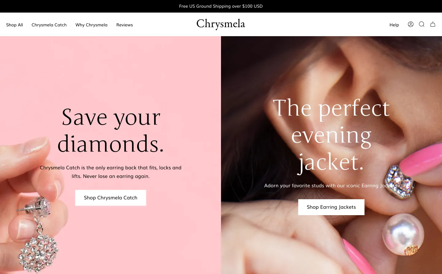 Mock-up of the new Chrysmela homepage.